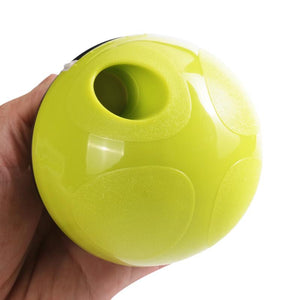 Interactive food dispenser Toy